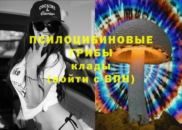 а пвп мука Инсар