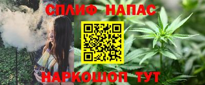 спиды Гусев