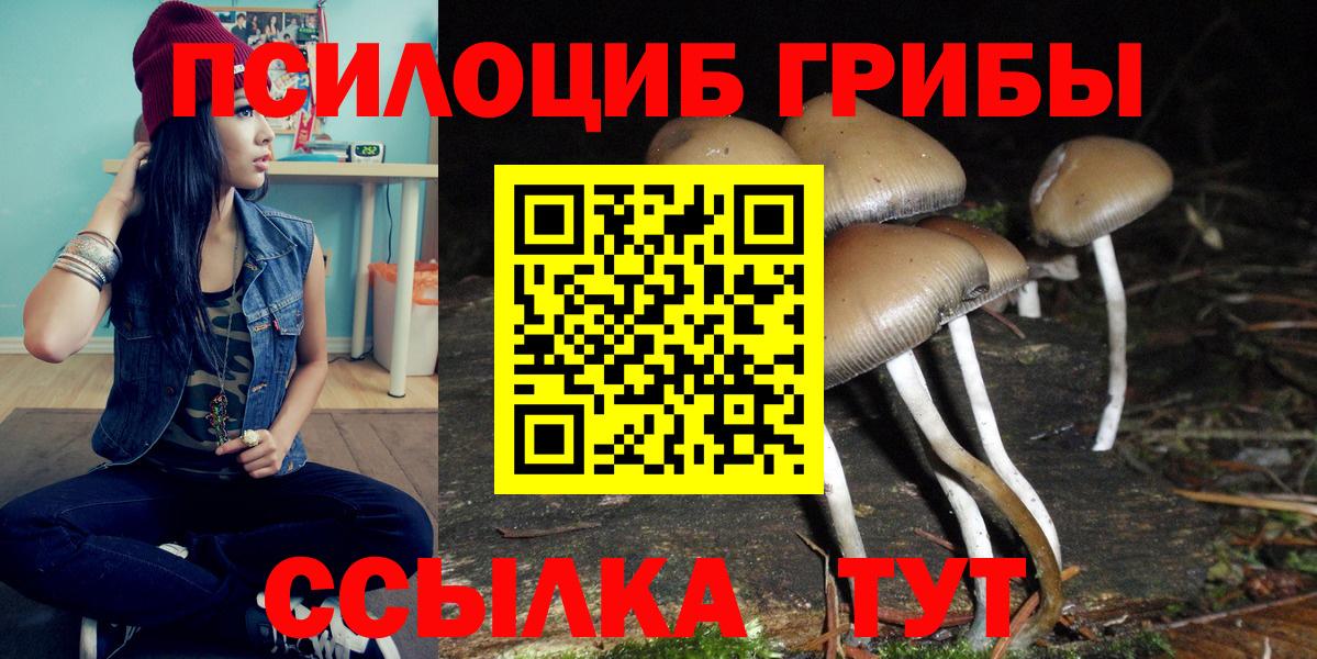 Галлюциногенные грибы прущие грибы Лесосибирск