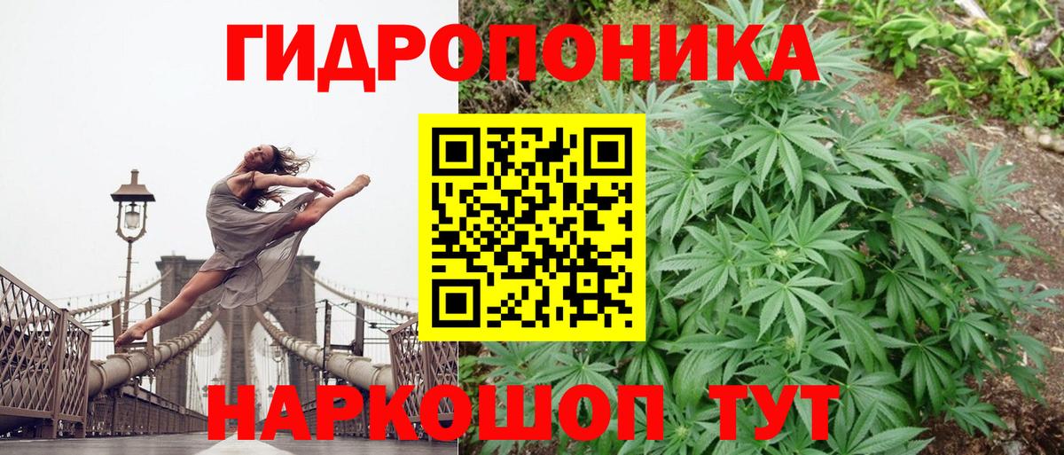 Лесосибирск  Бошки марихуана сатива  Конопля марихуана  Вход с VPN 